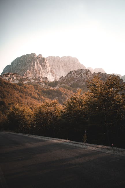 Mountain Landscapes - Breathtaking view of mountain peaks and forest a #15646345