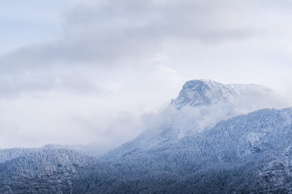 Mountain Landscapes - Serene winter view of a misty, snow-covered moun #35039349