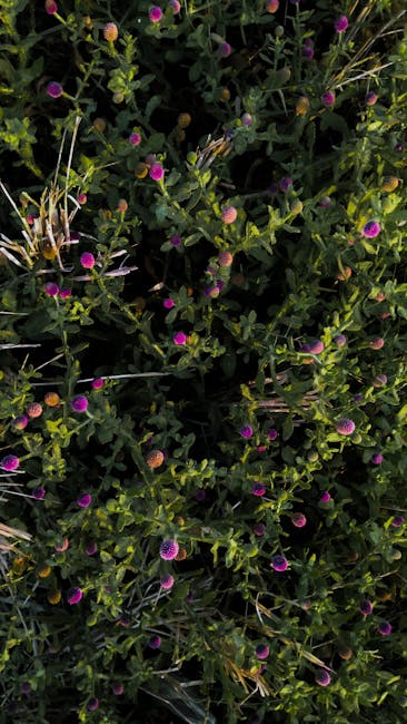 Flowers & Plants - Vibrant wildflowers blooming in dense greenery c #35308831