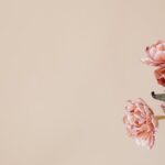 Flowers & Plants - Close-up of pink flowers with copy space on a be #7291999